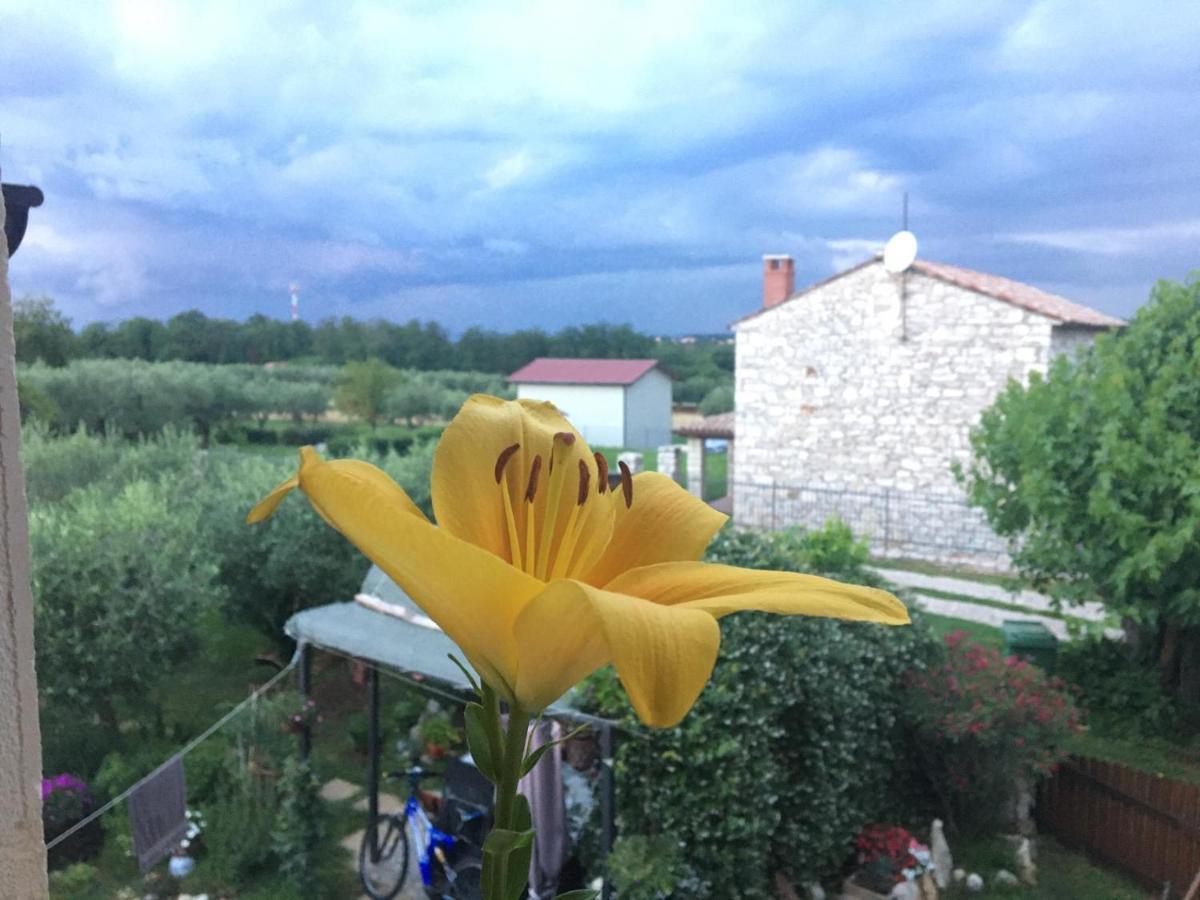Appartment Hacienda Monica Umag Buitenkant foto